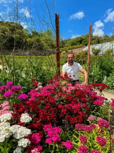 Ploberger und ein Bartnelken-Beet