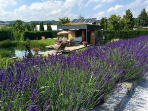 Lavendel - Parfum für den Garten