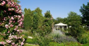 Natur im Garten (Bild: Leopold Mayrhofer/Natur im Garten)