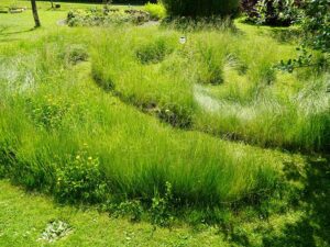 Natur im Garten (Bild: Leopold Mayrhofer/Natur im Garten)