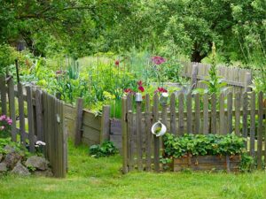 Foto: Leopold Mayrhofer/Natur im Garten