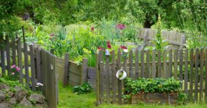 Foto: Leopold Mayrhofer/Natur im Garten