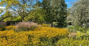 Goldener Herbst