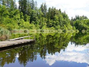 Bild: Leopold Mayrhofer/Natur im Garten