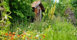 Bild: Leopold Mayrhofer/Natur im Garten