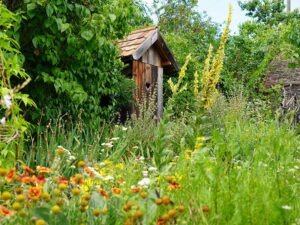 Bild: Leopold Mayrhofer/Natur im Garten