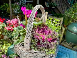 Herbstkorb mit Cyclamen