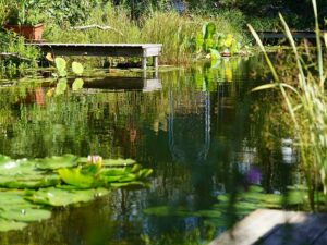 Bild: Leopold Mayrhofer/Natur im Garten