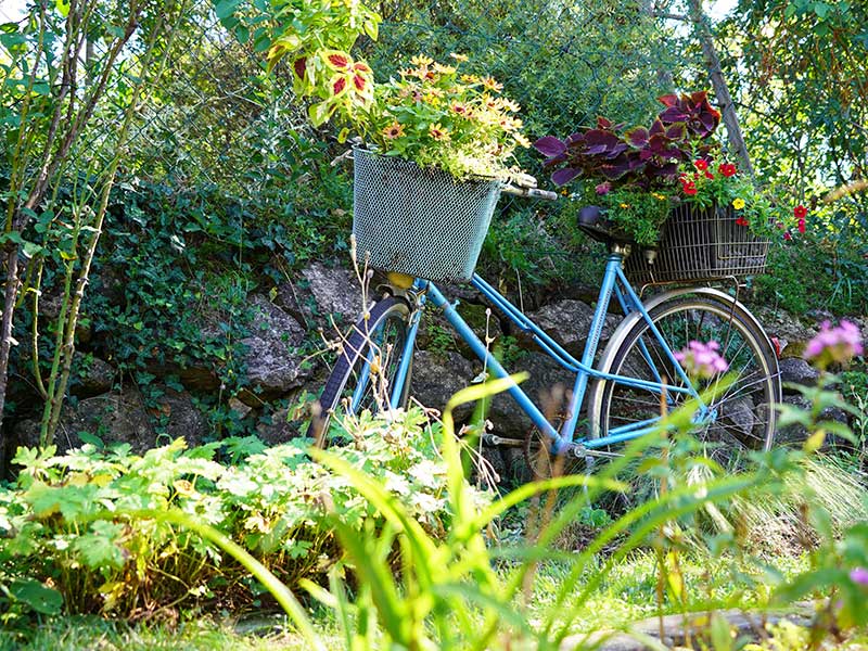 Bild: Leopold Mayrhofer/Natur im Garten