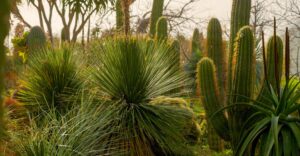 Natur im Garten in Sizilien (Bild: ORF/Talk TV)