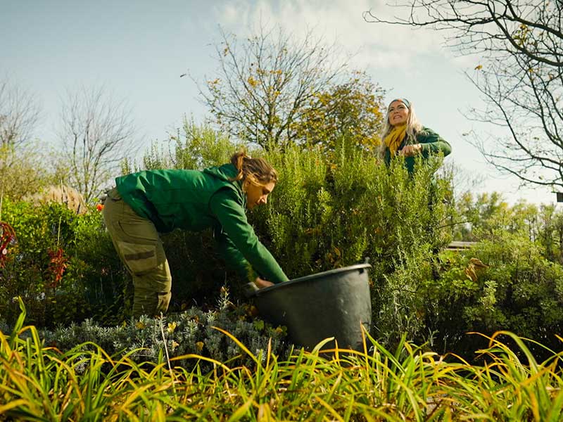 Natur im Garten (Bild: Foto: ORF/Talk TV)