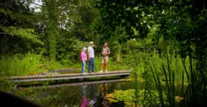 Natur im Garten (Bild: ORF/Talk TV)