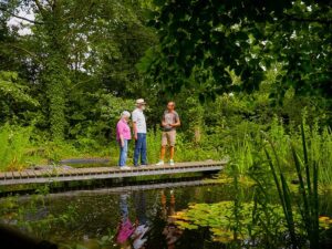 Natur im Garten (Bild: ORF/Talk TV)