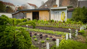 Natur im Garten (Foto: ORF/Talk TV)