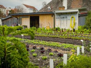 Natur im Garten (Foto: ORF/Talk TV)